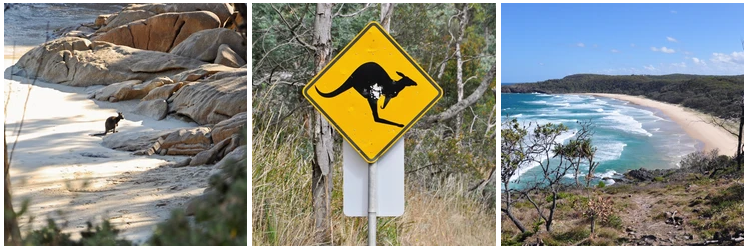 panneau jaune australien avec un kangourou